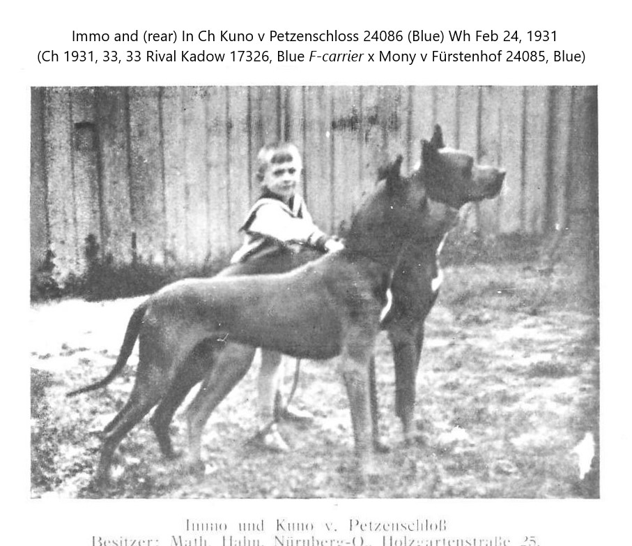 Immo and Kuno v Petzenschloss